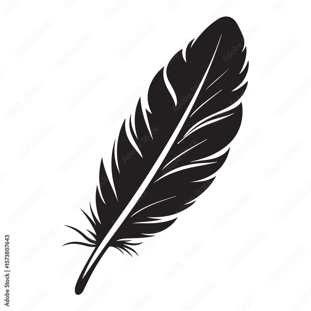Fototapeta premium feather silhouette , Bird Feather Silhouette