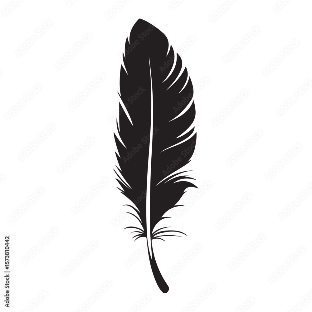 Obraz premium feather silhouette , Bird Feather Silhouette