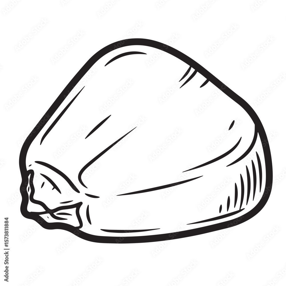 Fototapeta premium Hand drawn illustration of a stylized corn kernel for educational and agricultural design