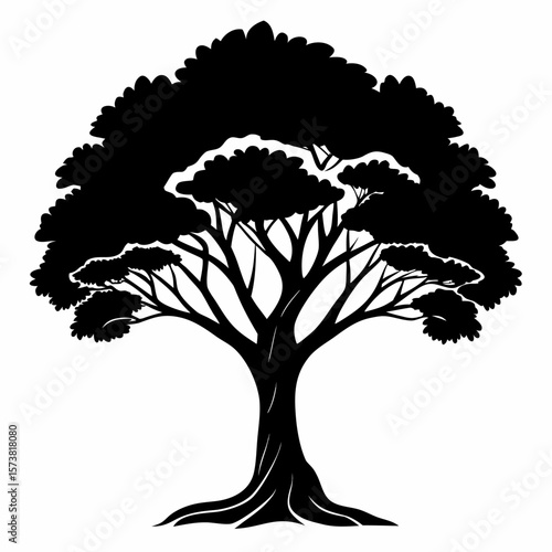 Samanea saman tree vector
