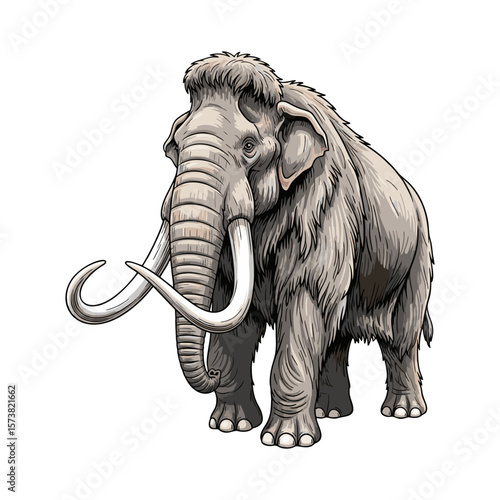 Ancient mammoth on a white background