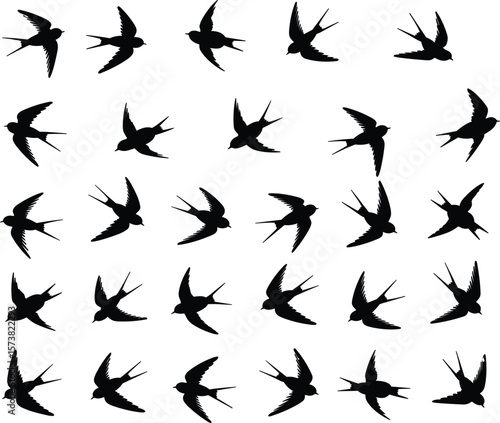 Flying bird silhouette vector set, swallow flight poses, black flat design, wildlife cad drawing illustration, minimal style animal vector art