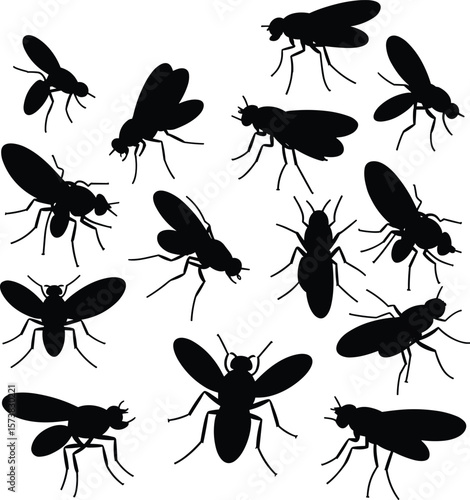 Housefly silhouette illustration set, pest insect black vector, flying bug design collection, cad drawing flat vector illustration, fly icon art