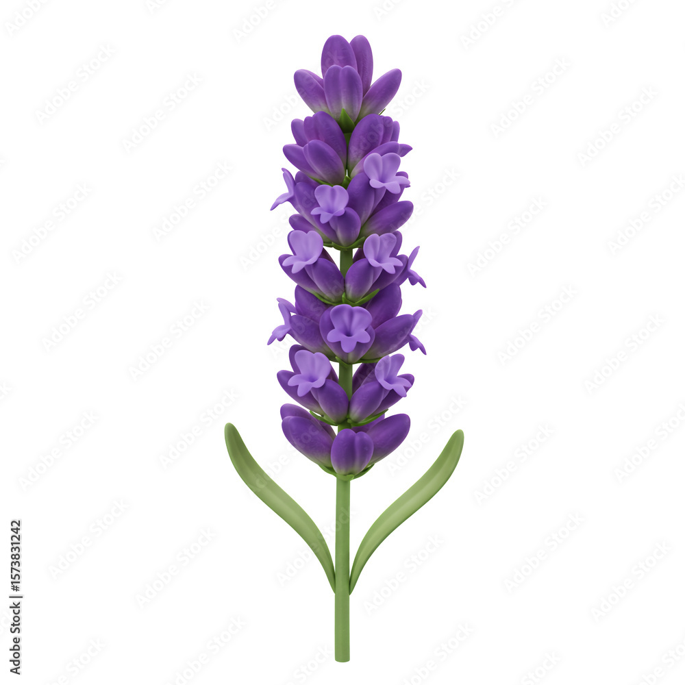 Obraz premium Purple Lavender Sprig Botanical Illustration on Transparent Background
