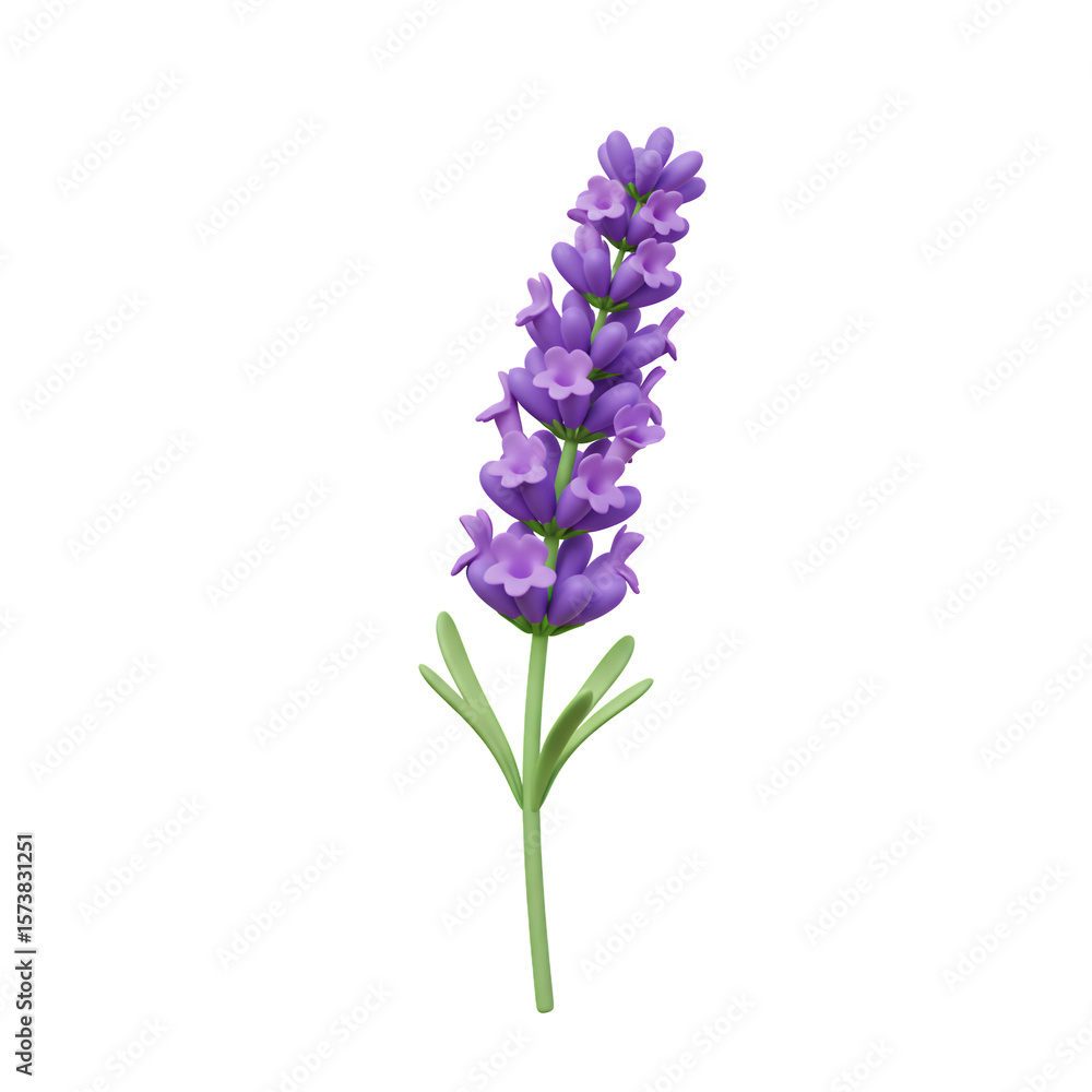 Obraz premium Purple Lavender Sprig on Transparent Background