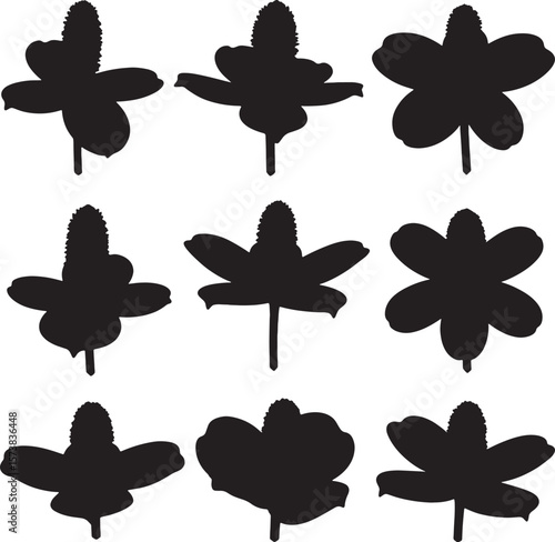 Vector flower and plant silhouettes in various shapes offering versatile design elements. Ideal for botanical illustrations, natural patterns, or graphic design projects requiring organic forms