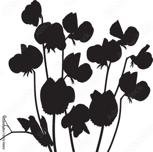 Elegant sweet pea flower silhouettes with delicate petals and climbing tendrils, perfect for botanical illustrations, wedding invitations, nature-themed designs, and sophisticated graphic elements