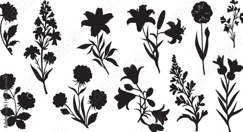 Vector art of a curated selection of botanical silhouettes, presenting a variety of flowers and plant forms in stark contrast isolated on transparent background