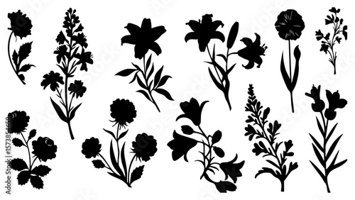 Vector art of a curated selection of botanical silhouettes, presenting a variety of flowers and plant forms in stark contrast isolated on transparent background