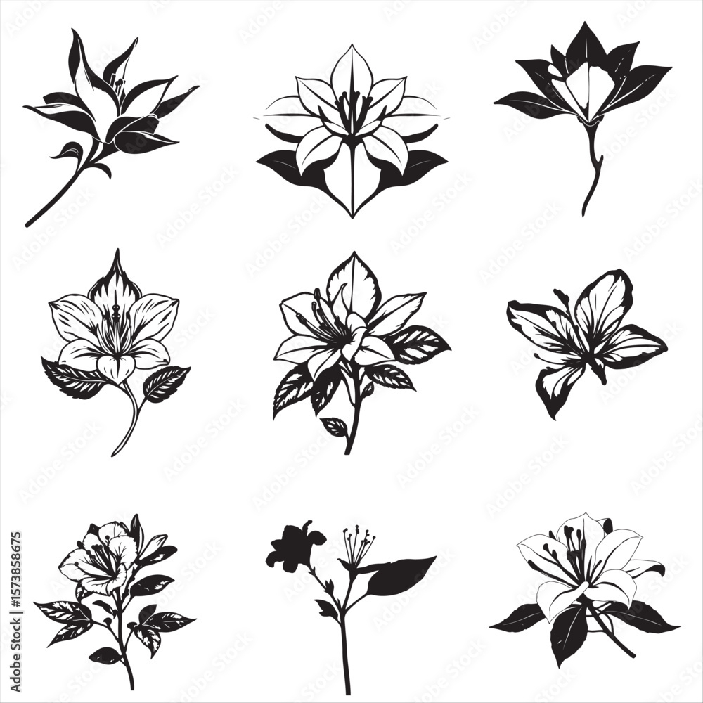 Obraz premium set of black silhouettes of flame azalea bundle pack collection 