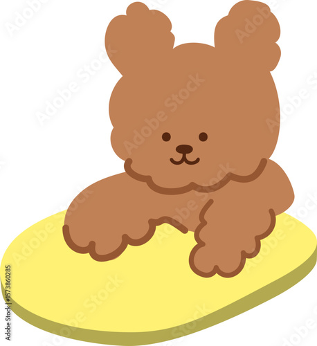 수영하는 강아지