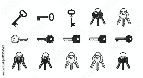 Assortment of Black and White Keys Various Styles and Designs