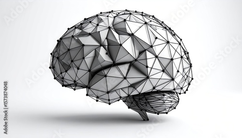 3D model of a brain