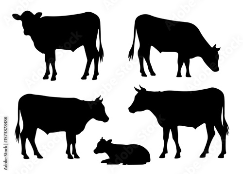 Silhouettes of Angus Cows in Motion for Farm Business Graphics and Meat Industry Illustration