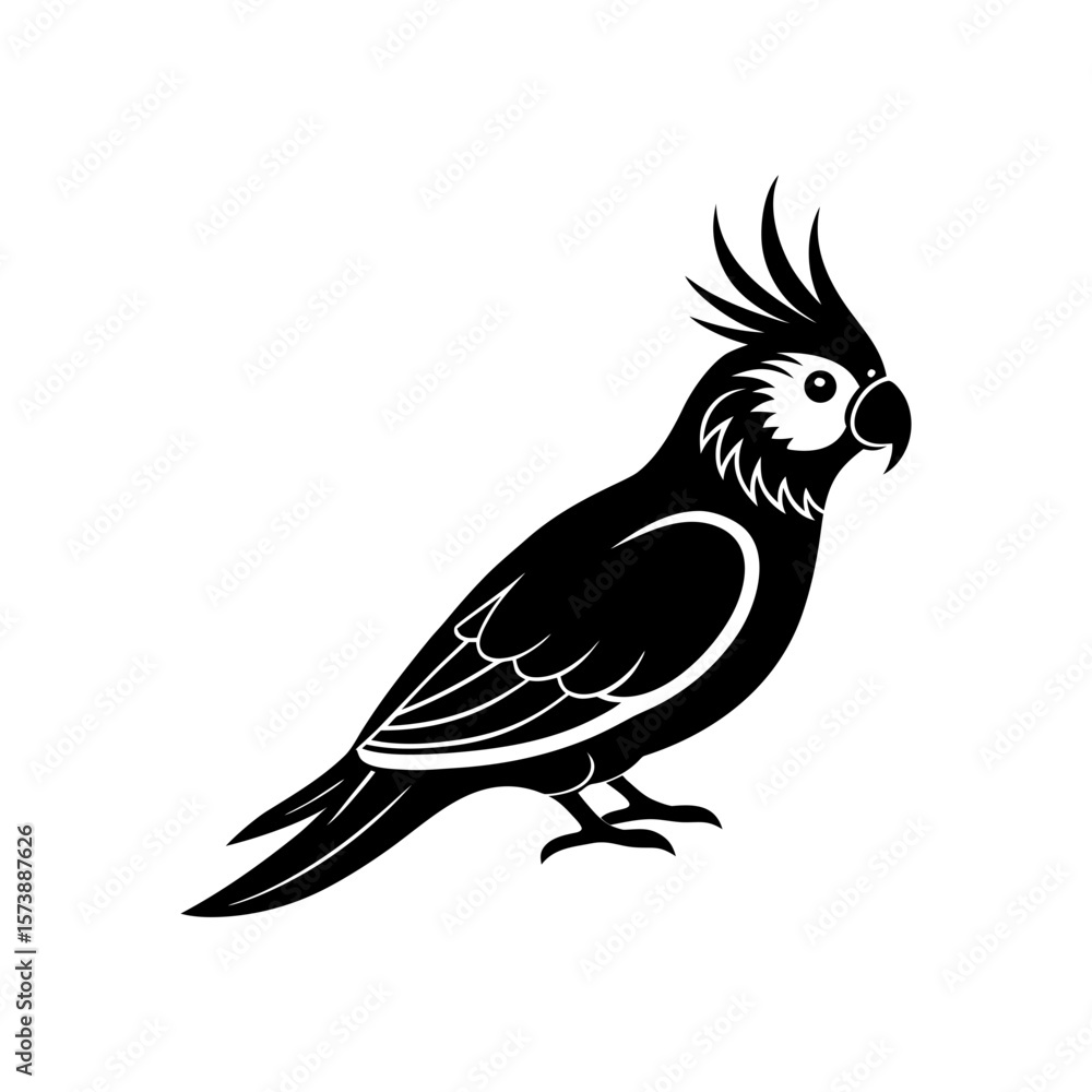 Fototapeta premium Cockatiel Clipart Vector Illustration
