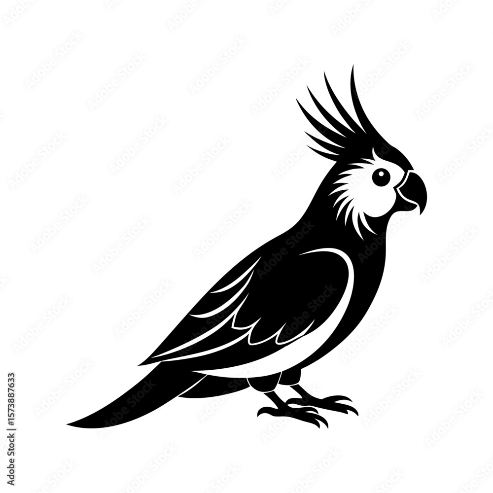 Obraz premium Cockatiel Clipart Vector Illustration
