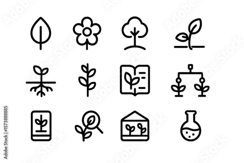 Minimal plant icons: nature and botanical symbols for eco-designs