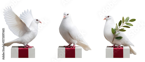 Three white doves perched on gift boxes, one spreading its wings, symbolizing peace and celebration