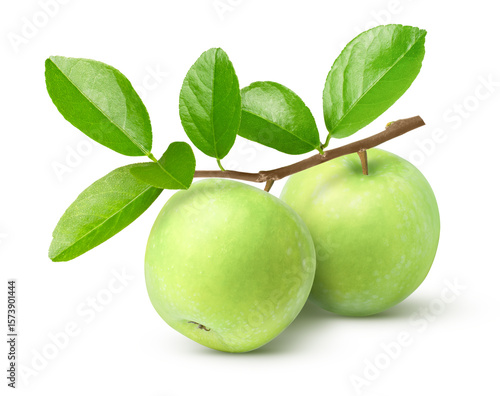 Wallpaper Mural green apple isolated on white Torontodigital.ca