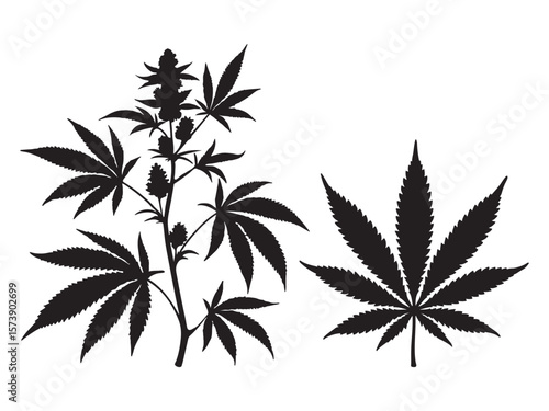 Silhouette cannabis tree and leaf vector illustration on white background