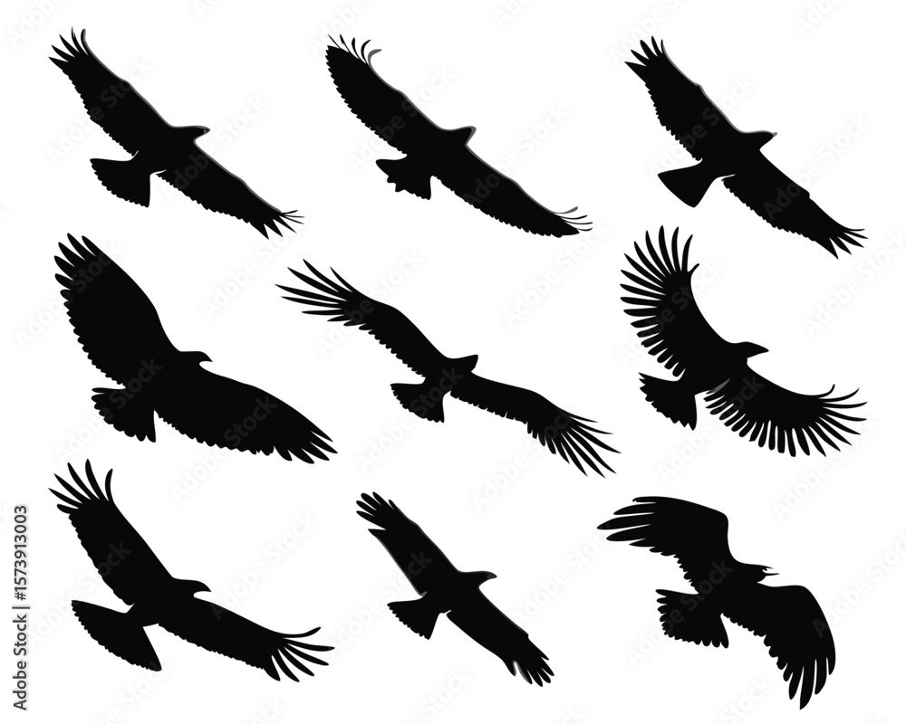 Fototapeta premium Silhouette illustrations of nine soaring eagles depicting flight in a monochrome artistic composition.