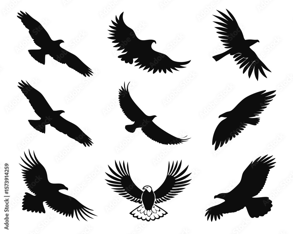 Obraz premium Set of nine silhouette eagle illustrations depicting soaring flight and various poses on a white background.