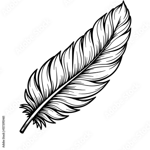 Black and white feather drawing, kids coloring book design, easy and cute style