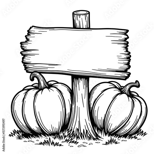 Pumpkin patch sign with wooden stake for kids' coloring book, black and white drawing