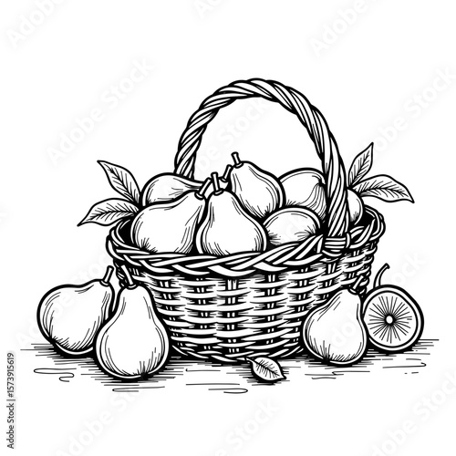 Basket of pears and figs, hand-drawn coloring book design for kids