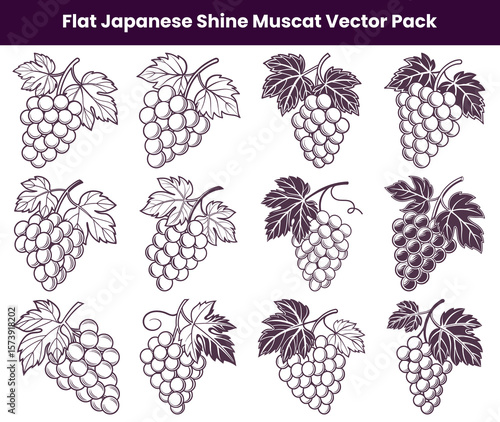 Illustrated Shine Muscat Grape Collection Fresh Fruit Line Art Design