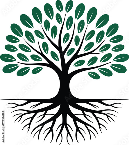 A stylized tree with green leaves and black branches and roots on a white background with the word rooted