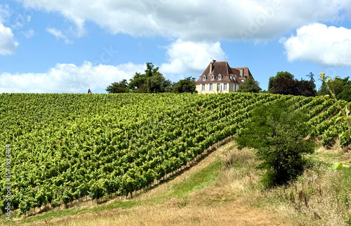 Schilderij op canvas Vignobles du MADIRAN à Crouseilles au pied des Pyrénées, le tannâtes est le prin