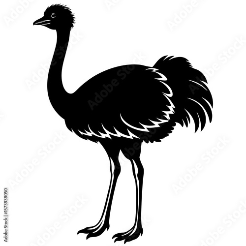 Ostrich Silhouette Illustration