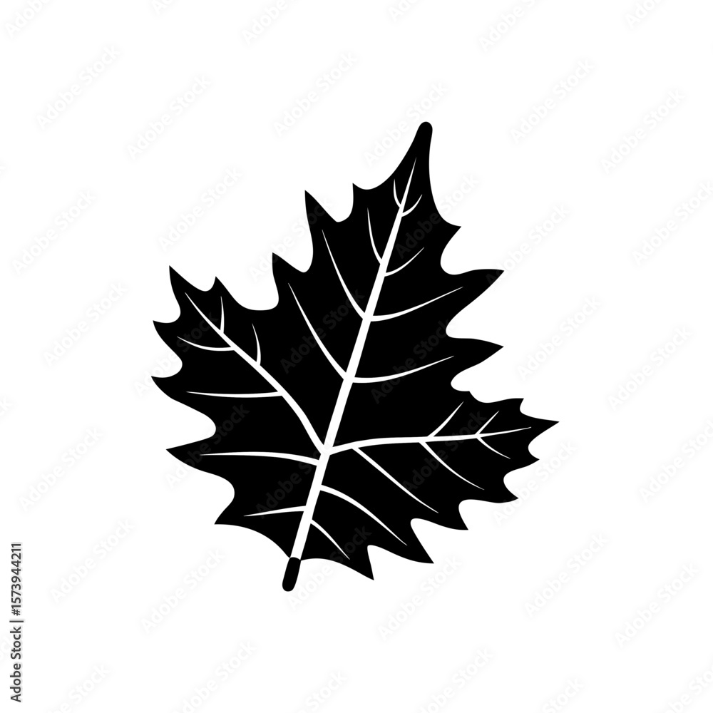 unique Neem leaf silhouette illustration isolated on white background unique Neem leaf silhouette illustration isolated on white background