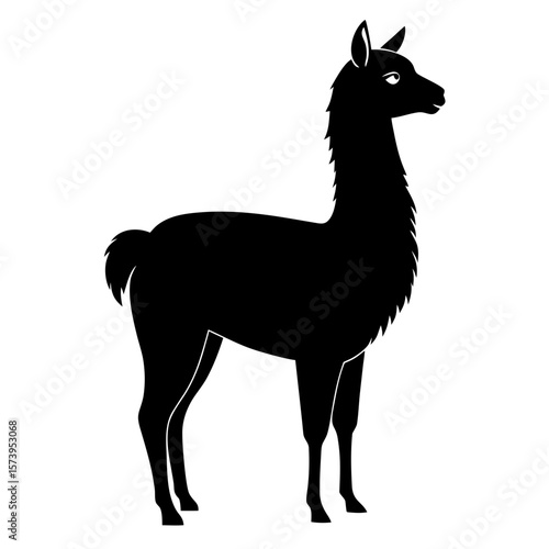 Llama vector black animal silhouette on white background