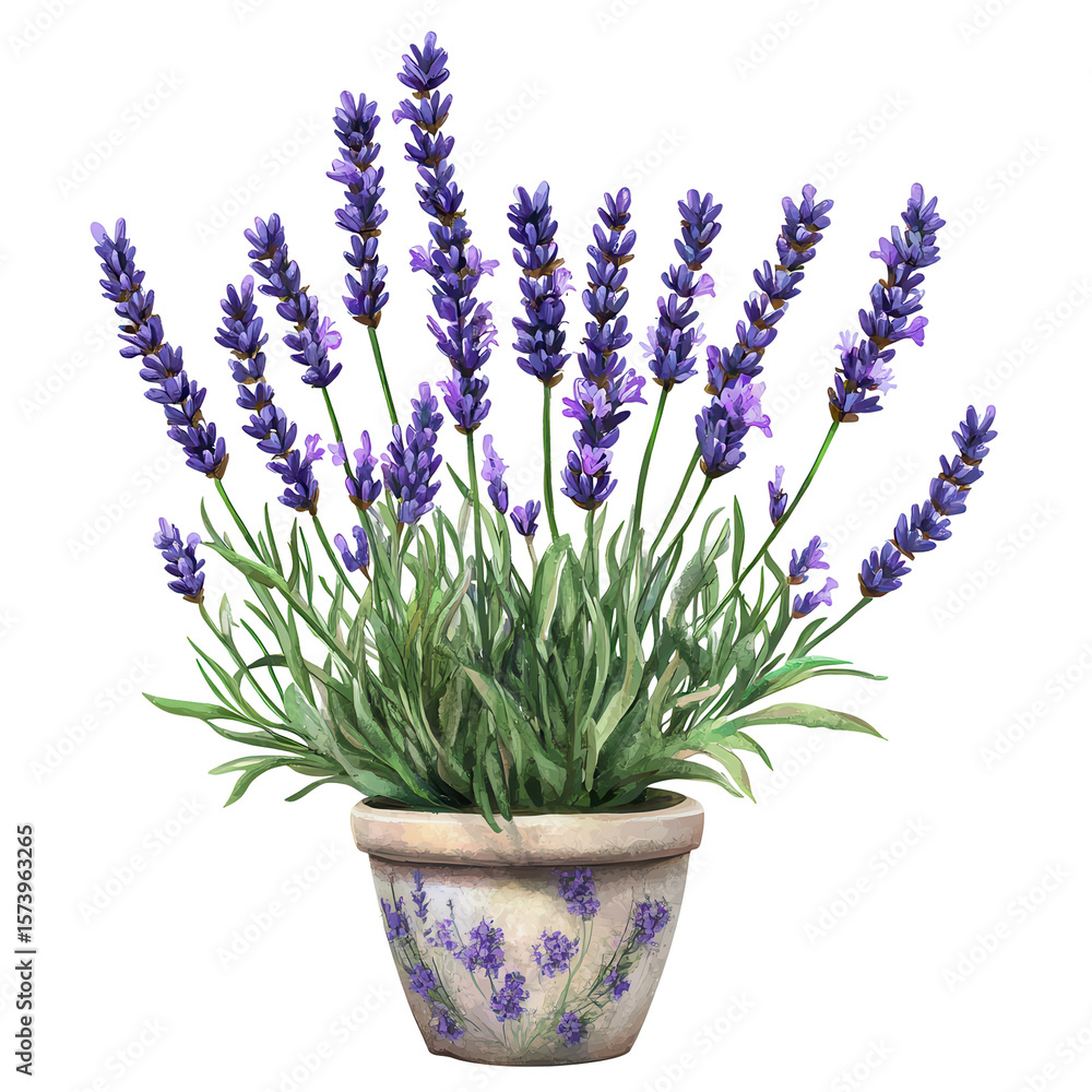 Fototapeta premium Lavender in a decorated pot beautiful purple flowers home decor floral arrangement isolated on a transparent background