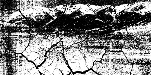 Cracked desert earth pattern with polygonal plates - textured background for design