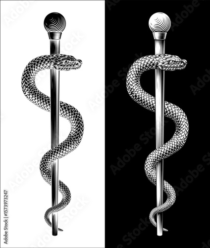 Rod of Asclepius staff medical symbol. Intertwined snake around a rod or wooden staff. Often mistakenly called a Caduceus. Doctor icon for medicine and health care. Vintage woodcut etching style.