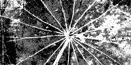 Abstract radial leaf structure with cuttlebone texture for artistic design