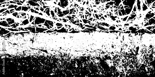 Dried grass turf cross section with soil texture for design overlay