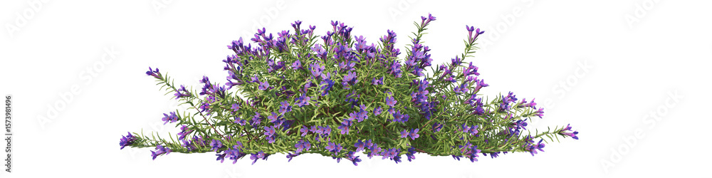 Naklejka premium Transparent background: Vibrant bush with abundant purple flowers and green foliage, ideal for garden landscaping, borders, and natural backdrops.