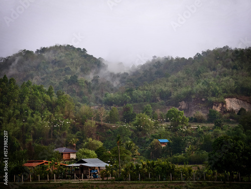 Photos The egret flies past Umphang.