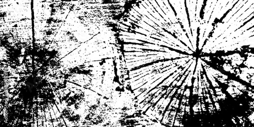 Fungal wood decay texture with radial split lines for design overlay