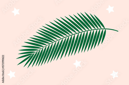 a palm leaf on a light pink background,