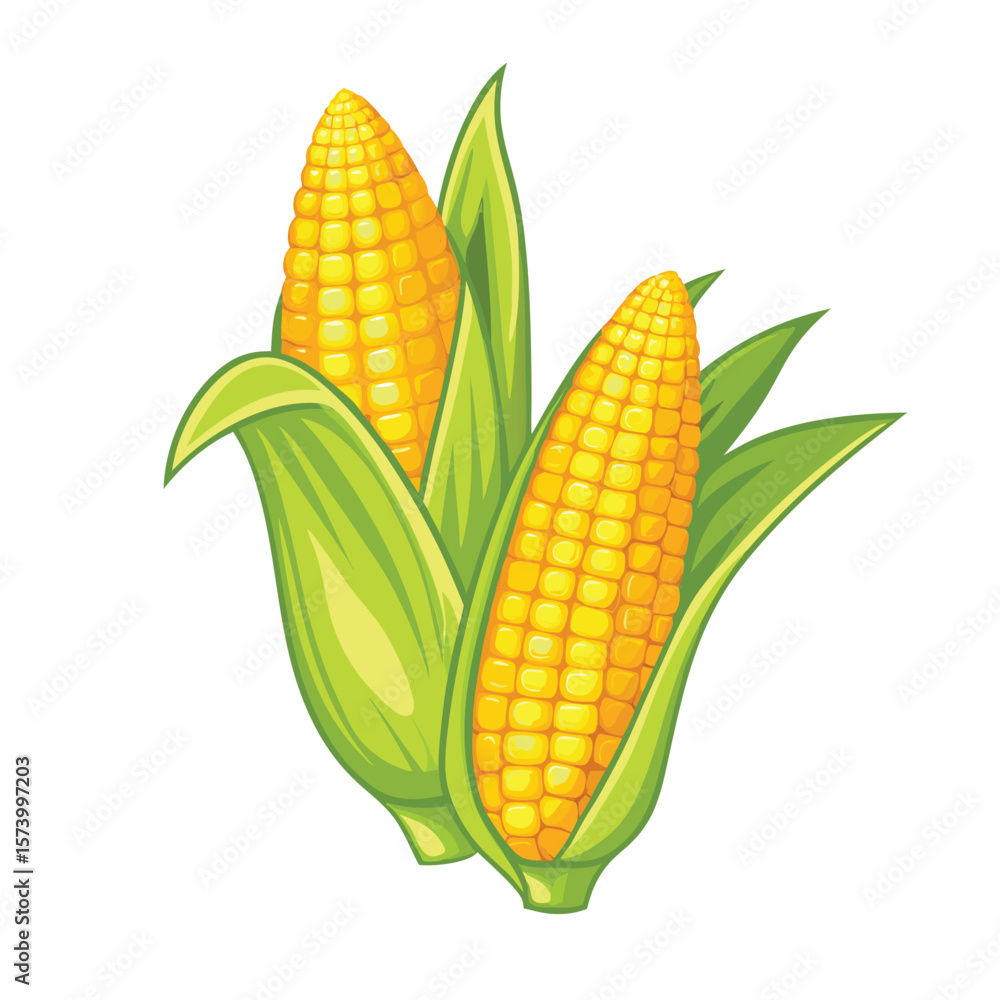 Obraz premium corn isolated vector on white background