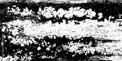 Weathered driftwood with barnacles and algae texture overlay for distressed design
