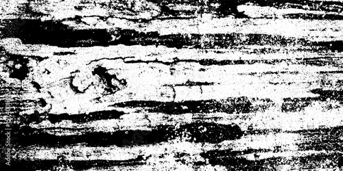 Weathered driftwood with barnacles and algae texture for creative design use