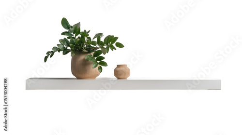 A white shelf with a plant in a pot and a small vase against a black background in a studio shot