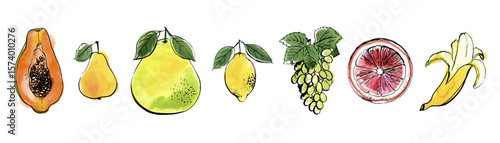 Hand Drawn Watercolor Tropical Fruits – Vector Illustration