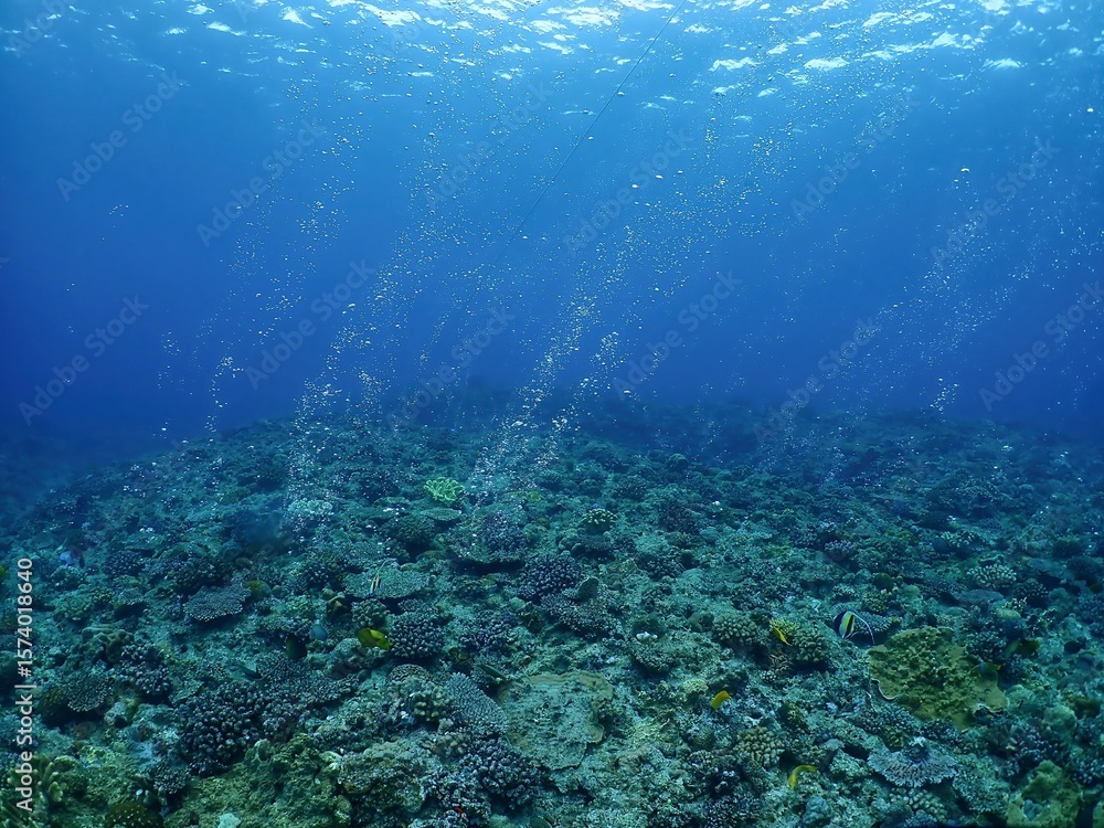 Fototapeta premium Air bubble coming out from above of underwater cave in Onna, Okinawa